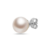 7-7.5mm AA Akoya Cultured Pearl 14k Gold Earrings
