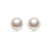 7-7.5mm AA Akoya Cultured Pearl 14k Gold Earrings