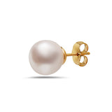 7-7.5mm AA Akoya Cultured Pearl 14k Gold Earrings